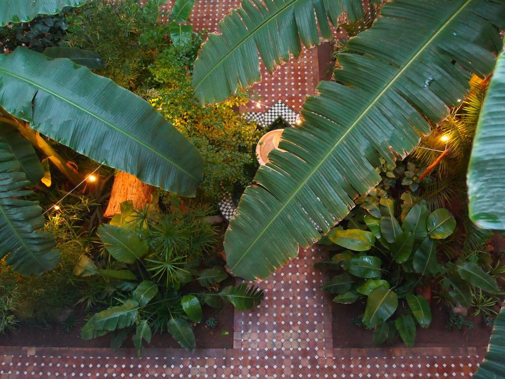 Riad Jardin Secret Marrakesh Exterior photo